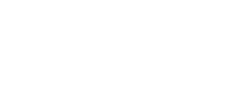 logo IPEV blanc